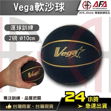 【AFA專注訓練】VEGA 沙球 重球 訓練用沙球 重力球 健身球 復健球 重訓 肌力訓練 訓練球 VGB-29S0