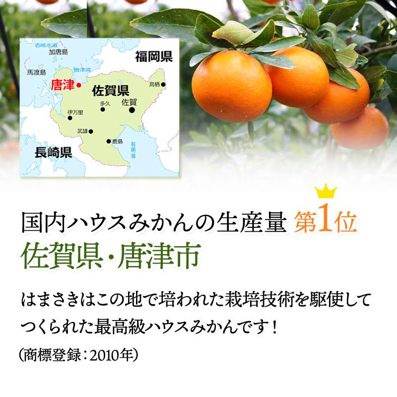  フルーツ 佐賀県産 はまさき 約3kg (L・Mサイズ 17〜21玉)  JAからつ 果物 柑橘  みかん 青果 麗紅 ギフト 高級 送料無料 CG048