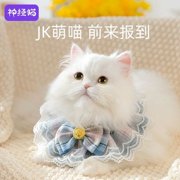 小貓咪jk貓牌防丟失定制刻字項圈項鏈名牌寵物掛牌貓狗狗脖圈飾品