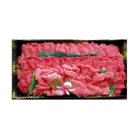 ふるさと納税 小田切牧場 信州プレミアム牛特選 焼肉セット（500g） 長野県中野市