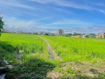 111桃園紅線國際段持分農地｜桃園市桃園區國際段