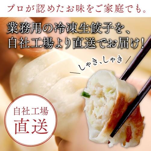 餃子 取り寄せ 送料無料 業務用 冷凍 生餃子 国産素材 時短 お手軽 簡単 大容量 餃子計画 九条ねぎ餃子 600個(20g×50個×12袋)