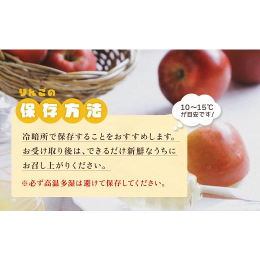 ふるさと納税 秋田県 鹿角市 《極》葉取らずりんご！ サンふじ 家庭用 小玉 5kg（23〜25玉）　葉とらず はとらず 林檎 リンゴ りんご 完…