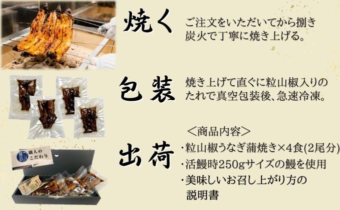 粒山椒うなぎ蒲焼き 4P入 国産 三河一色産