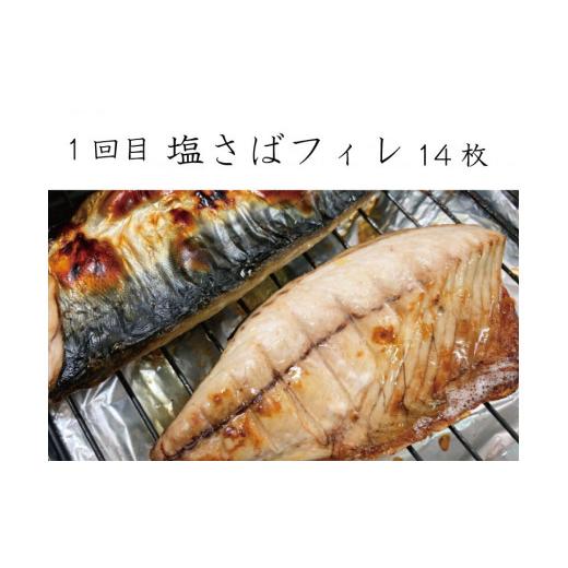 ふるさと納税 和歌山県 串本町 和歌山からお届け おさかな定期便　サバ・ウナギ・サケ