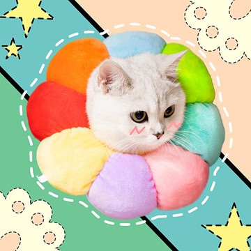 寵物伊麗莎白圈貓圈狗頭套貓咪圍脖絕育防舔防咬伊利莎白恥辱項圈