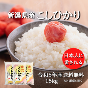 新潟県産 コシヒカリ 15kg （5キロ×3袋）  米 15キロ 送料無料 精米 令和5年 15kg お米