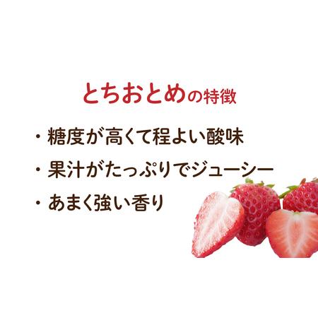 ふるさと納税 完熟いちご (250g ×4パック) イチゴ 苺 果物 フルーツ ストロベリー 贈答 ギフト 国産 おすすめ.. 福島県田村市