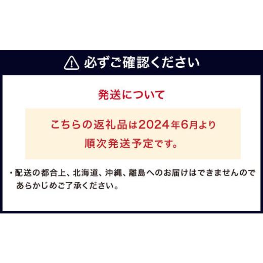 ふるさと納税 福岡県 宗像市 栽培期間中農薬・有機肥料で丹精込めて栽培した「ブルーベリー」1kg 国産_KA0273