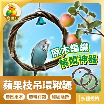 【鳥國王】鸚鵡蘋果枝站架 蘋果枝藤圈 蘋果木吊環 鸚鵡鞦韆玩具 鳥類啃咬玩具 小寵攀爬藤架 鸚鵡用品 鳥用品 鳥玩具