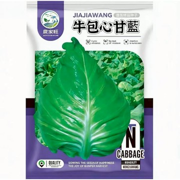 【原廠包裝】牛心甘藍種子（Beef Heart Cabbage）300粒裝  尖頭高麗菜種子 火鍋炒菜必備 清脆甘甜