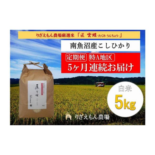 ふるさと納税 新潟県 南魚沼市 令和５年産　南魚沼産コシヒカリ　白米5kg＼生産農家直送／