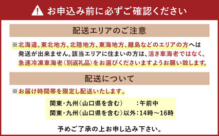 熊本県産 活き車海老 約600g（14～22尾程度）大サイズ厳選品