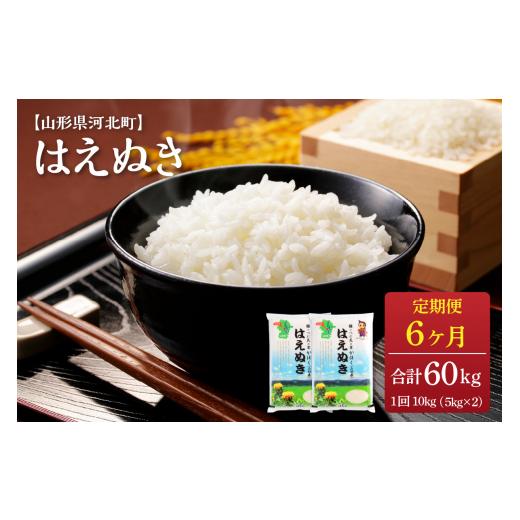 ふるさと納税 山形県 河北町 ※2024年3月上旬スタート※ はえぬき60kg（10kg×6ヶ月）定期便 山形県産