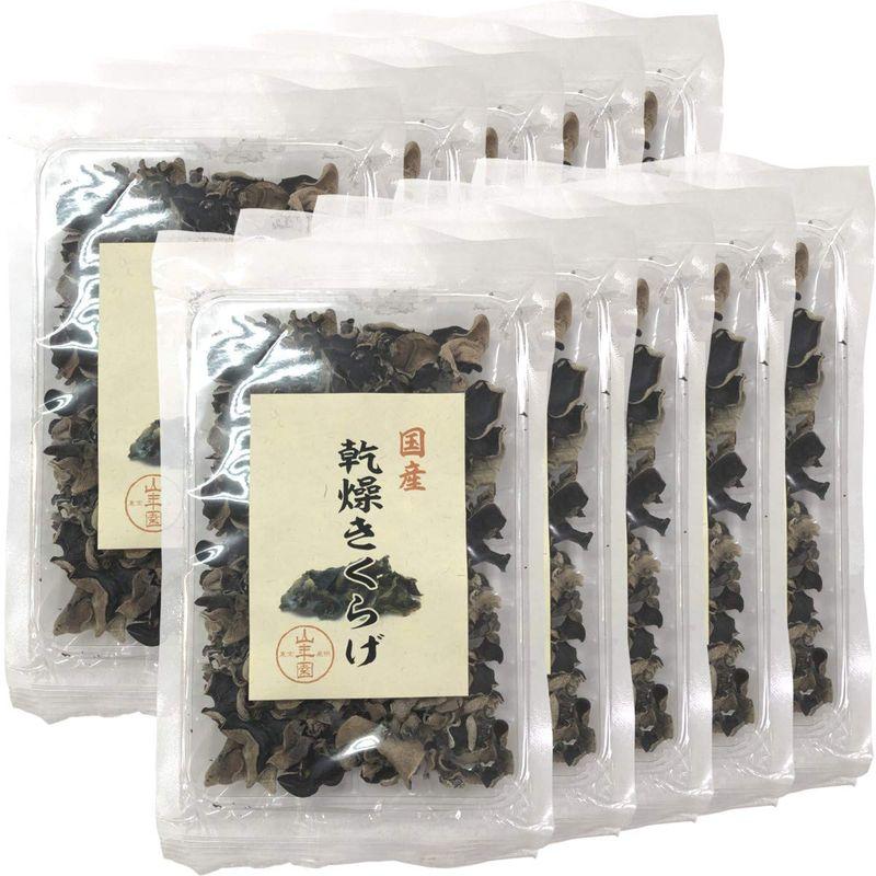 国産乾燥きくらげ 40g×10袋セット 巣鴨のお茶屋さん 山年園