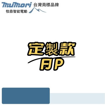 台灣現貨 可開發票 可定製 可訂製FJP