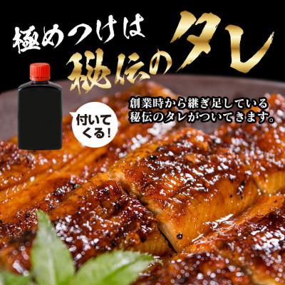 ふるさと納税 日南市 職人手焼きうなぎ　3匹