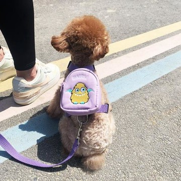 寵物小書包狗狗牽引繩寵物背包泰迪比熊牽引繩貓咪狗狗胸背帶遛狗