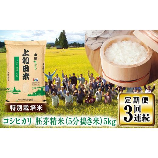 ふるさと納税 山形県 高畠町 山形県 高畠町産 特別栽培米 コシヒカリ 胚芽精米（5分搗き米）5kg×3回  お米  ブランド米 米  ごはん ご飯 F20B-239