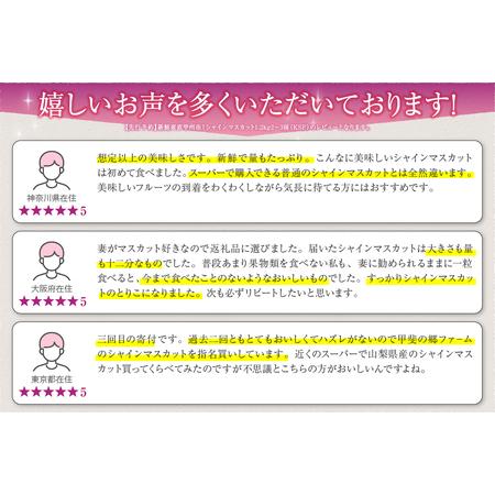 ふるさと納税 新鮮産直甲州市！シャインマスカット1.2kg2〜3房（KSF）B12-170 山梨県甲州市