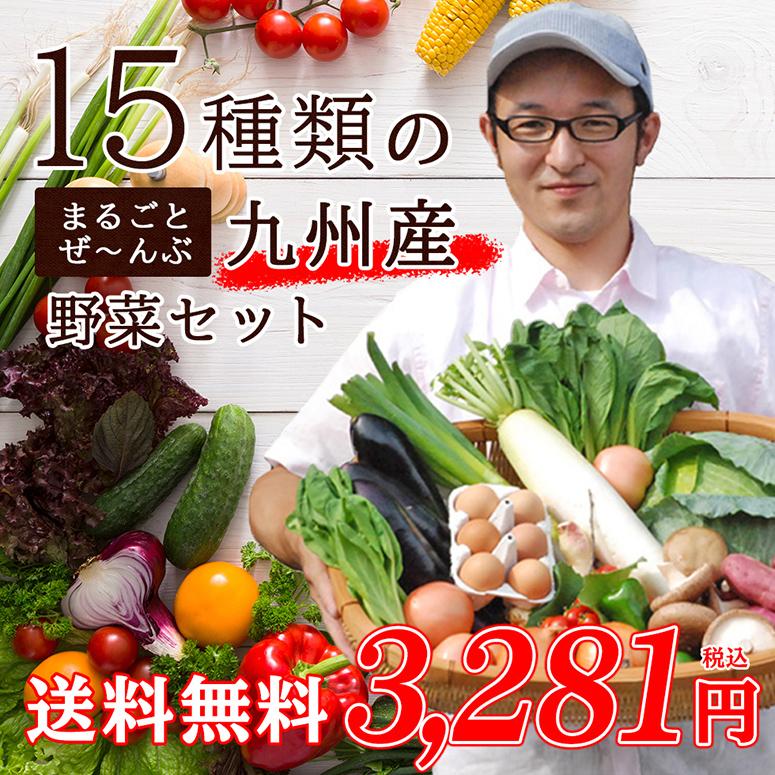 おまかせ　九州野菜セット　15品 旬の野菜詰め合せ・おまかせ詰め合わせセット！西日本　