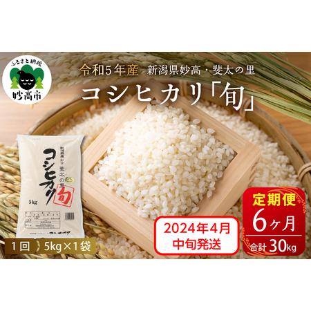 ふるさと納税 令和5年産新潟県妙高産斐太の里コシヒカリ「旬」5kg×6回（計30kg） 新潟県妙高市