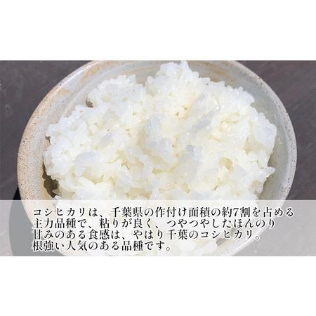 ふるさと納税 新米　コシヒカリ　白米　5kg　令和5年産 千葉県千葉市