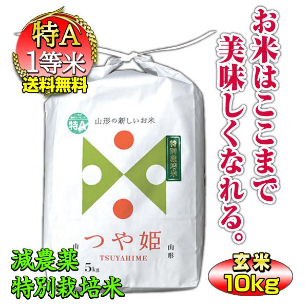 新米 お米 10kg つや姫 玄米 山形県 庄内産 一等米 特別栽培米 5kg×2袋 送料無料 令和5年産 内祝い