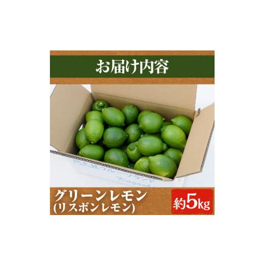 ふるさと納税 鹿児島県 阿久根市 数量限定！リスボングリーンレモン(5kg)国産 果実 果物 リスボンレモン フルーツ 檸檬 柑橘 デザート 期間限定【桐野柑橘株式…