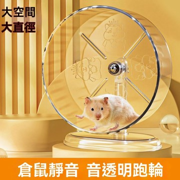 🔥臺灣出貨🔥仓鼠静音跑轮带支架金丝熊大号运动防滑滚轮用品仓鼠金丝跑轮