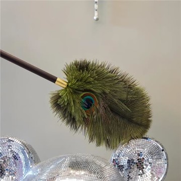鴕鳥孔雀毛除塵撣子高檔復古家用掃灰塵雞毛撣子清潔掃灰神器