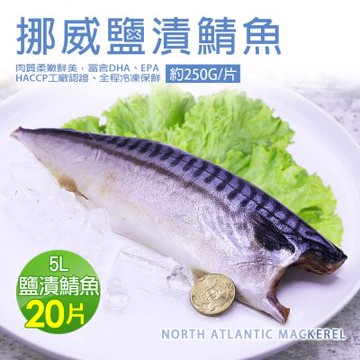 築地一番鮮-5L大挪威薄鹽鯖魚20片免運組(250g/片)