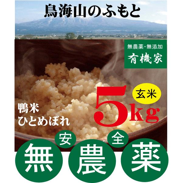 新米 無農薬ひとめぼれ玄米　５ｋｇ 鴨米ひとめぼれ　山形県佐藤さんの秘蔵米　無農薬米　国内産100%（山形県）