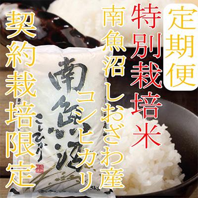 ふるさと納税 南魚沼市 生産者限定 南魚沼しおざわ産コシヒカリ全9回