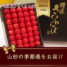 佐藤錦 さくらんぼ 手詰め2段詰め 化粧箱 500g×1箱