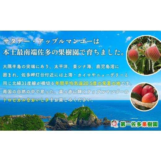 ふるさと納税 鹿児島県 南大隅町 完熟アップルマンゴー2kg