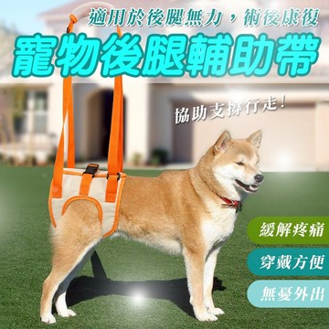 狗狗復健帶 後腿輔助帶 高齡犬 老犬 S-XL 寵物後腿輔助帶 狗用補助帶 寵物牽繩 寵物護理 寵物補助帶 術後可用