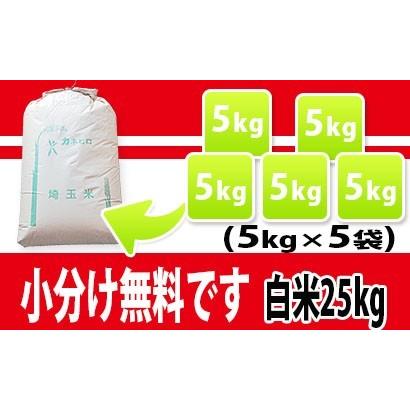 5年産 埼玉でとれたお米25kg 送料無料 白米 （小分け無料)