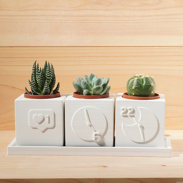 【客製化禮物】質感簡約多肉植物水泥盆栽4件福袋組 | 雷雕