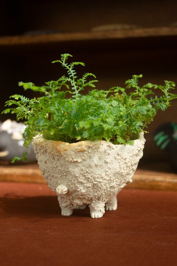 白巧克力奶油獸 盆器 植栽 花器 手作陶藝 獨一無二 禮物 送禮