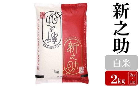 お米と共に200年の松村商店直送！ 新之助 白米 2kg [A056]