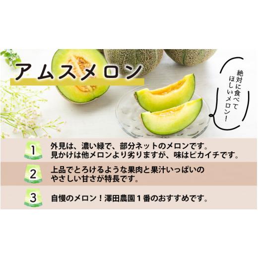 ふるさと納税 福井県 あわら市 アムスメロン（1.3kg以上 2玉入) とろけるような果肉が絶品！ ／ 期間限定 果物 フルーツ 産地直送 青肉 人気 ※20…