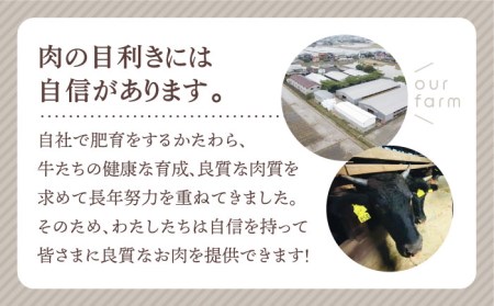 佐賀牛 プレミアム焼肉盛り合わせ 900g（300g×3種）ロース カルビ 赤身[HBH041]