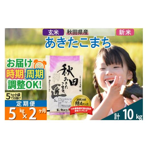 ふるさと納税 秋田県 仙北市 ＜新米＞《定期便2ヶ月》秋田県産 あきたこまち 5kg (5kg×1袋)×2回 令和5年産 時期選べる