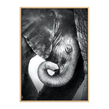 依偎 – 黑白大象寶寶藝術畫 居家裝飾  40 x 30cm  金色