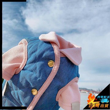 【台灣出貨】寵物棉衣 秋冬裝 幼貓棉衣 打底衫 小貓馬甲 幼犬馬甲 泰迪雪納瑞比熊博美 貓咪衣服 小型犬狗狗衣服 兩件套