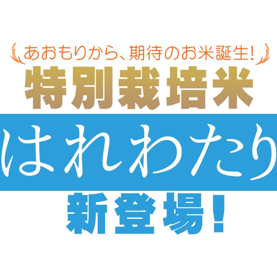 青森県産 はれわたり 米2023年度産 [※SP]