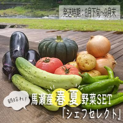 ふるさと納税 下呂市 ＼産地直送 朝採れ!! シェフセレクト春夏野菜セット:発送時期:6月下旬から9月末まで!