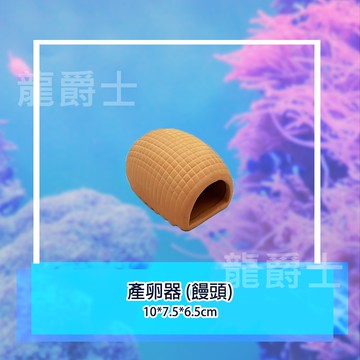 ✨現貨✨[龍爵士水族]產卵器  造景裝飾 裝飾品 造景 擺飾 飾品 擺件 魚缸造景 魚缸擺飾 魚躲藏   Z15