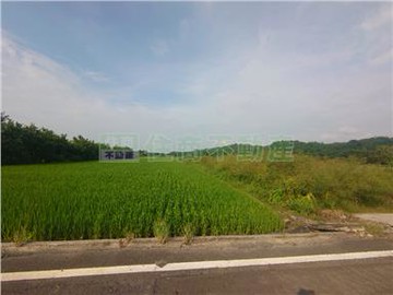 六甲都農假日農夫,農保美農地｜台南市六甲區岩埤段